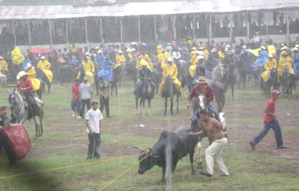 La Fiesta del Toro