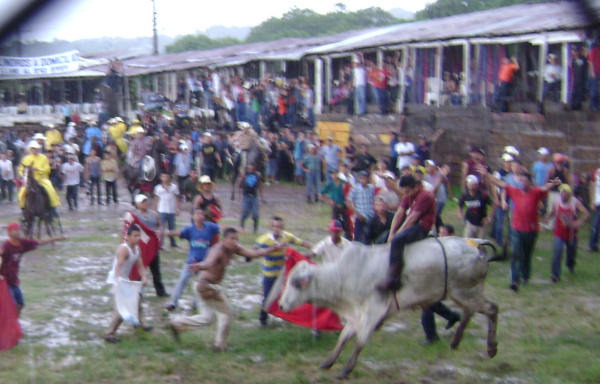 La Fiesta del Toro