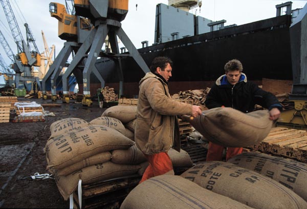 Foto overslag cacao balen 