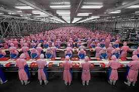 Foto fabriekshal met arbeiders aan lopende band