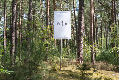 Foto bord in bos met pijlen die rechtdoor wijzen