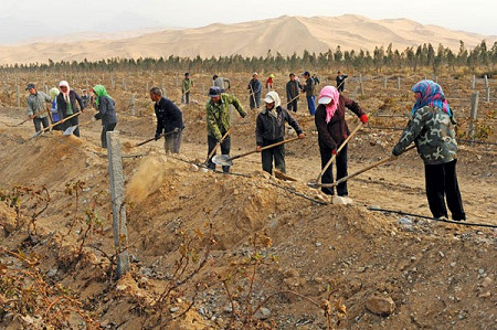 Landarbeiders aan de rand van een woestijn