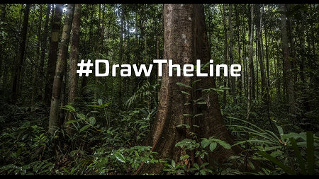 #DrawTheLline, foto bos