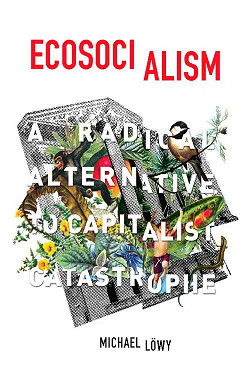 Voorkant boek Ecosocialism