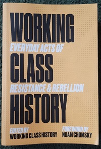 Boek Working Class History