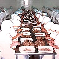 Foto zaal met garnalenpelsters