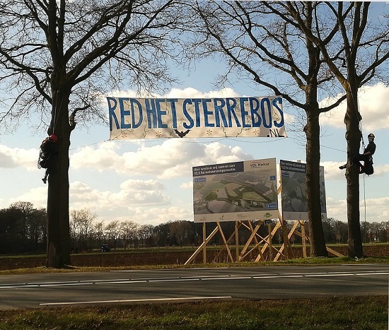 sterrenbos