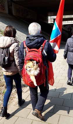 naar de zuidas