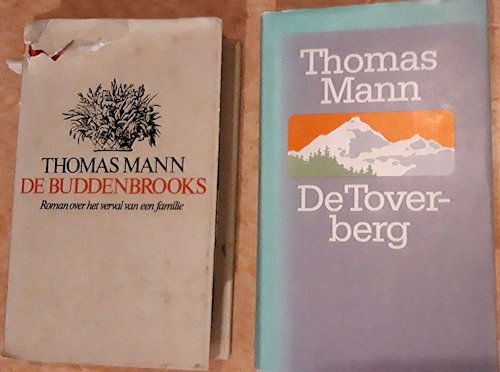 Voorkant De Buddenbrooks en De Toverberg