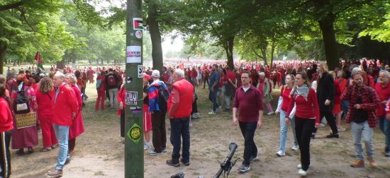het veld is vol