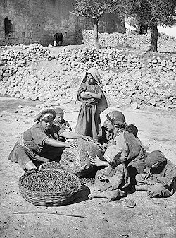 Zwart/wit foto - twee vrouwen rollen steen over olijven, drie kinderen kijken toe.